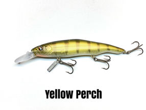 Name_08_Yellow_Perch.JPG