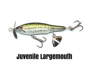 Name_01_Juvenile_Largemouth.JPG