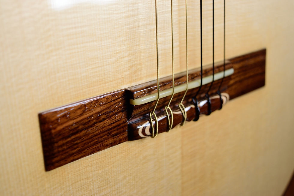 サムネイル： 椎華-しいか-　124号