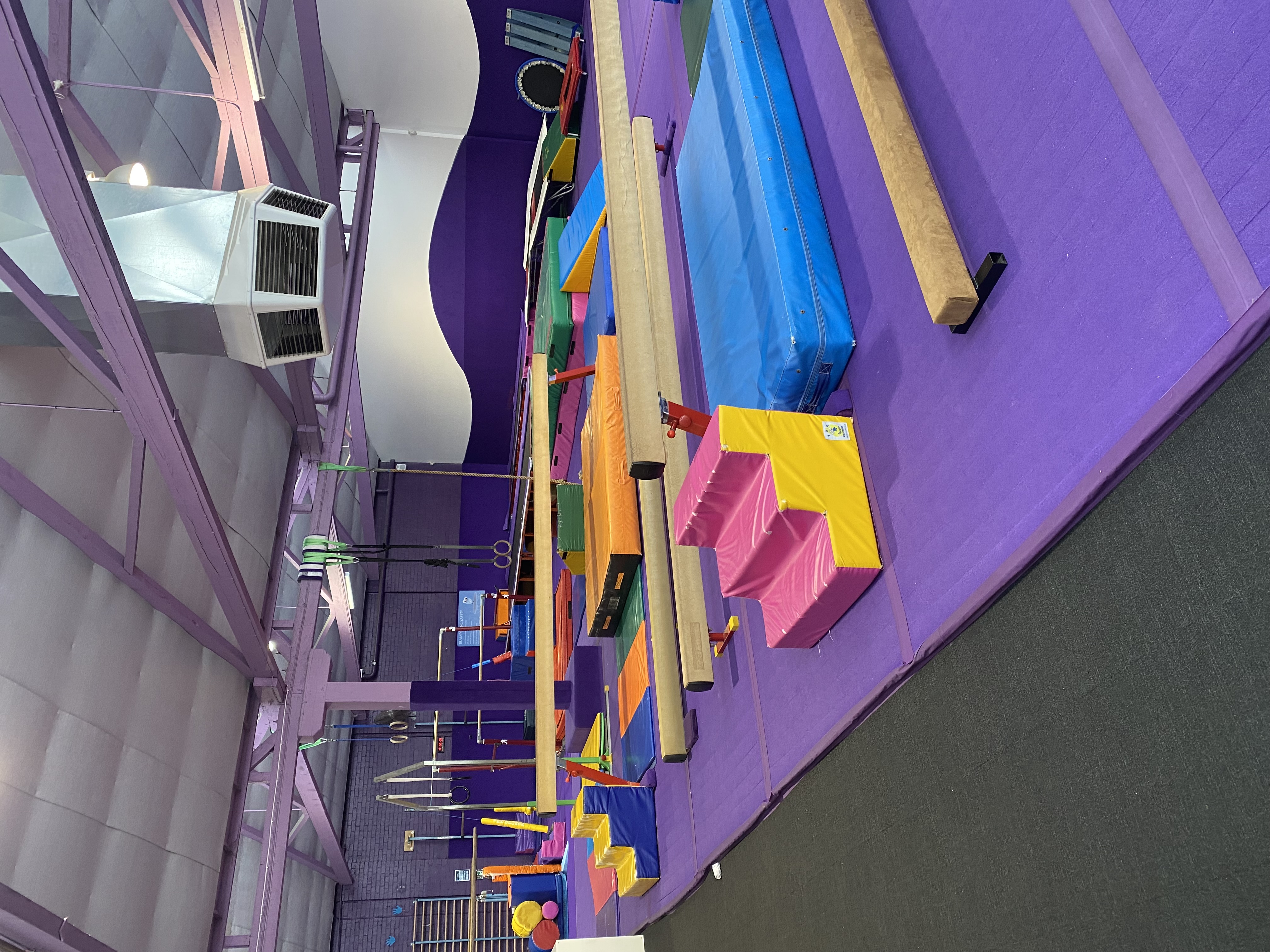 Gymnastics Class in Action