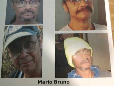 Searching for Mario Bruno Our Missing Friend in a Time of Crisis