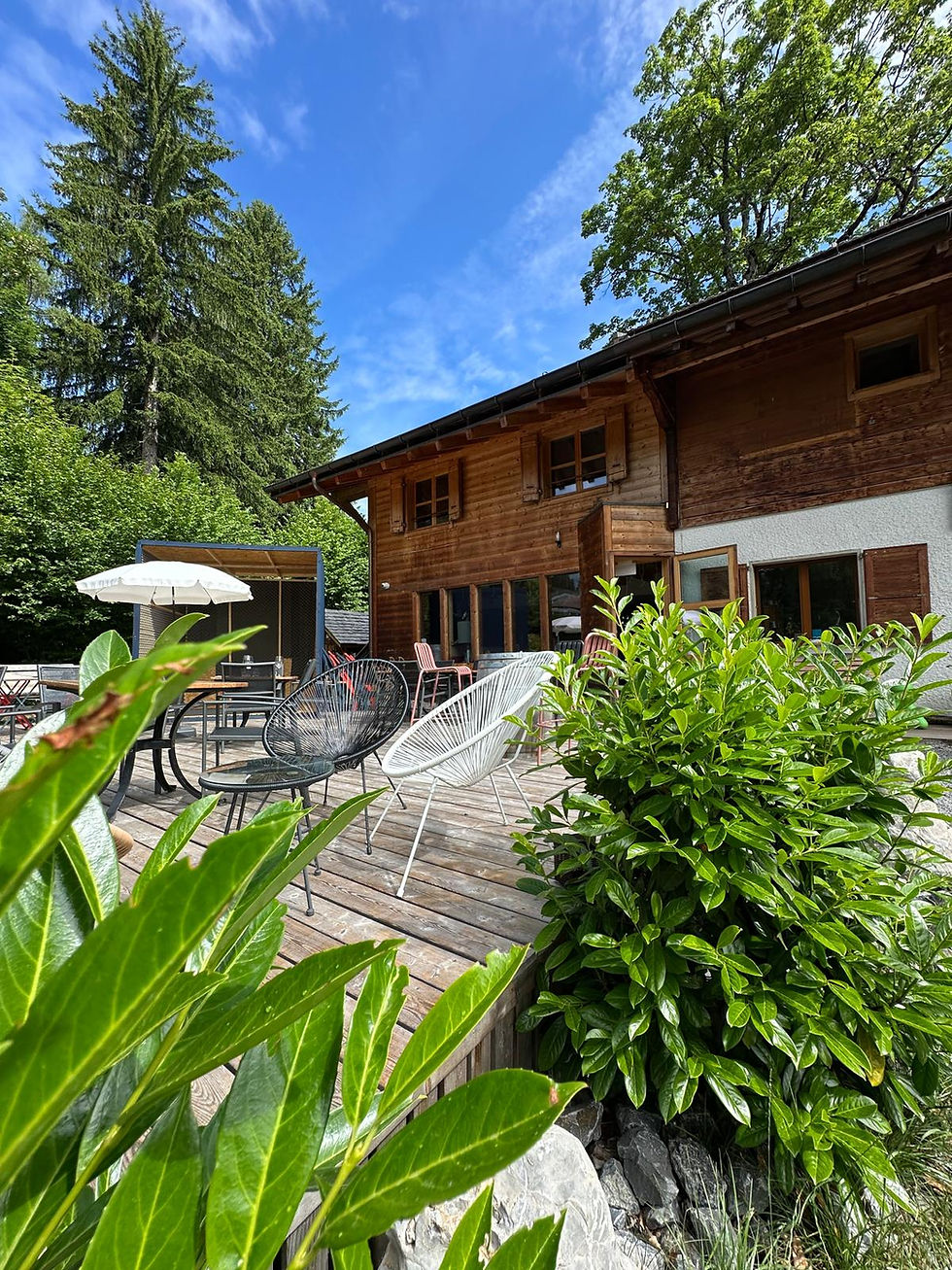 Photo avec les plantes .jpeg