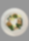 Modified dish.png
