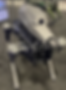 ree