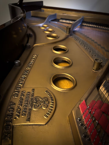 Need Help With your piano, Grand Piano Inside, Grand Piano Frame and strings and dampers.jpg