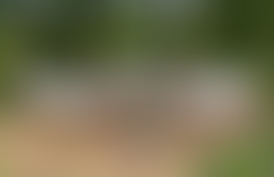 2025 CIT Legacy Project