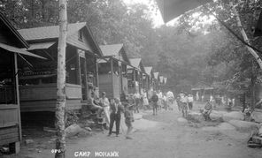 Mid-Century Mohawk Memories