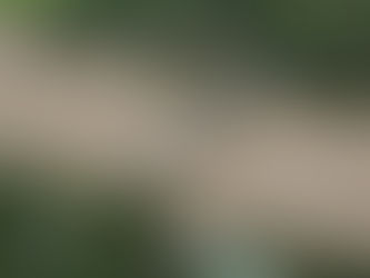 POSIBLE VIOLACIÓN DE HELICOPTERO VENEZOLANO A TERRITORIO COLOMBIANO