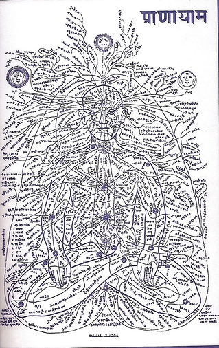 nadis-chakras.jpg