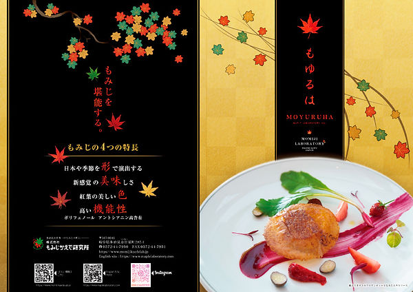 もゆるはリーフレット