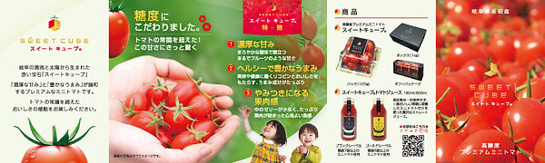 スイートキューブミニパンフレット