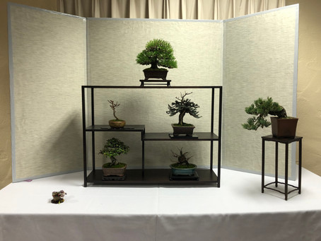 Shohin Seminar 2018 - Santa Nella California