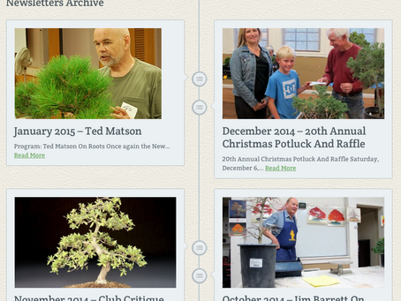 GSBF 2015 Multi-Media Contest Winners