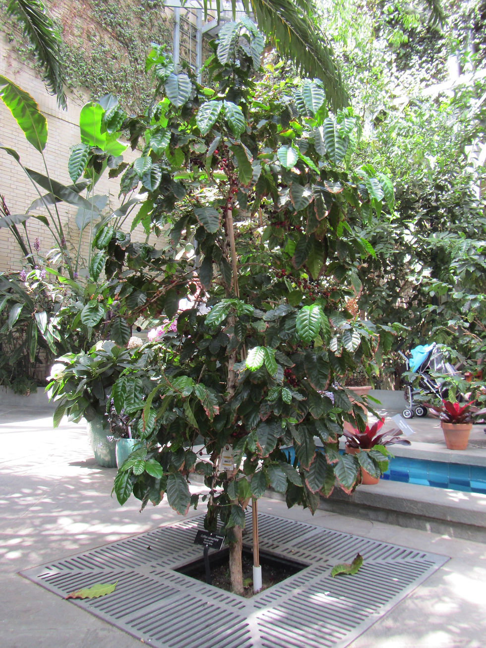 IMG_0140_VZ.jpg