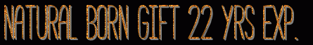 text1.gif