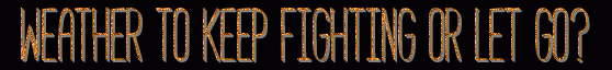 text5.gif