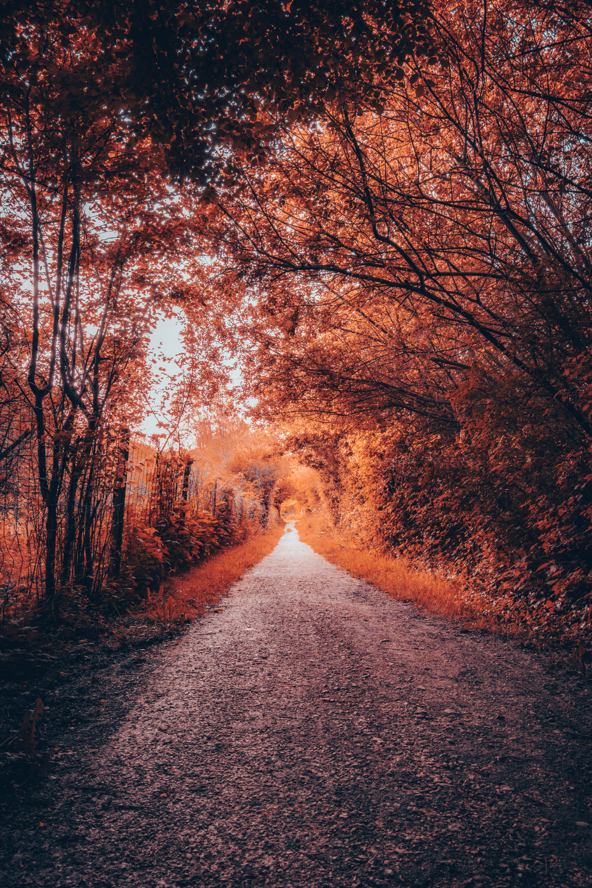 Couleurs d'automne