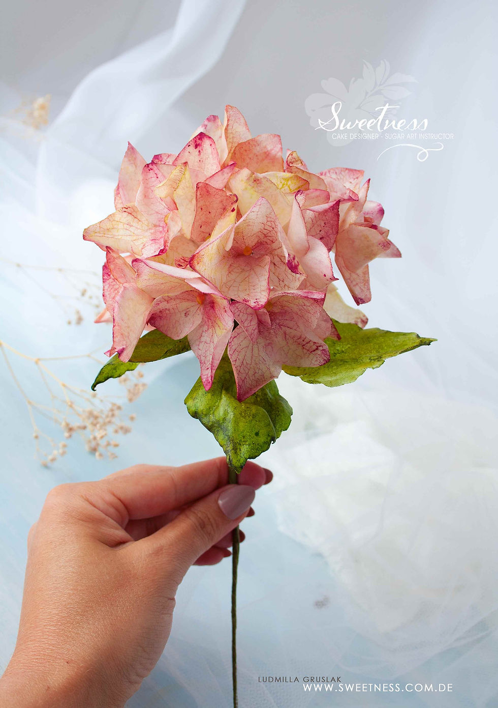 Video-Kurs Hortensien aus Wafer Paper