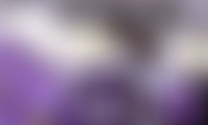 Ube Macapuno Roll Recipe