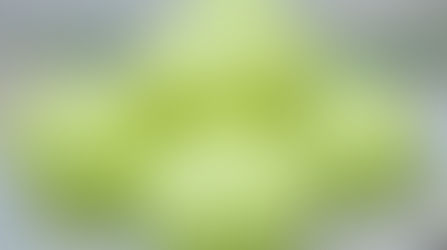 Puto Pandan Recipe