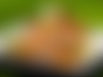 Easy Pancit Malabon Recipe