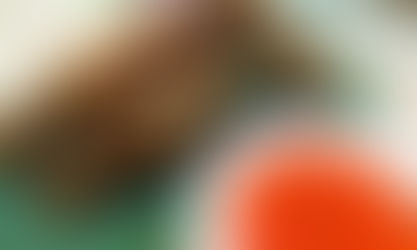 Lumpiang Shanghai Recipe