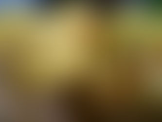 Easy Ensaymada Rolls Recipe