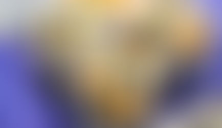 Easy Blueberry Muffin Recipe