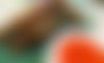 Lumpiang Shanghai Recipe