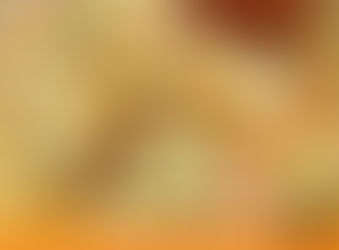 HOMEMADE Special Embutido Recipe