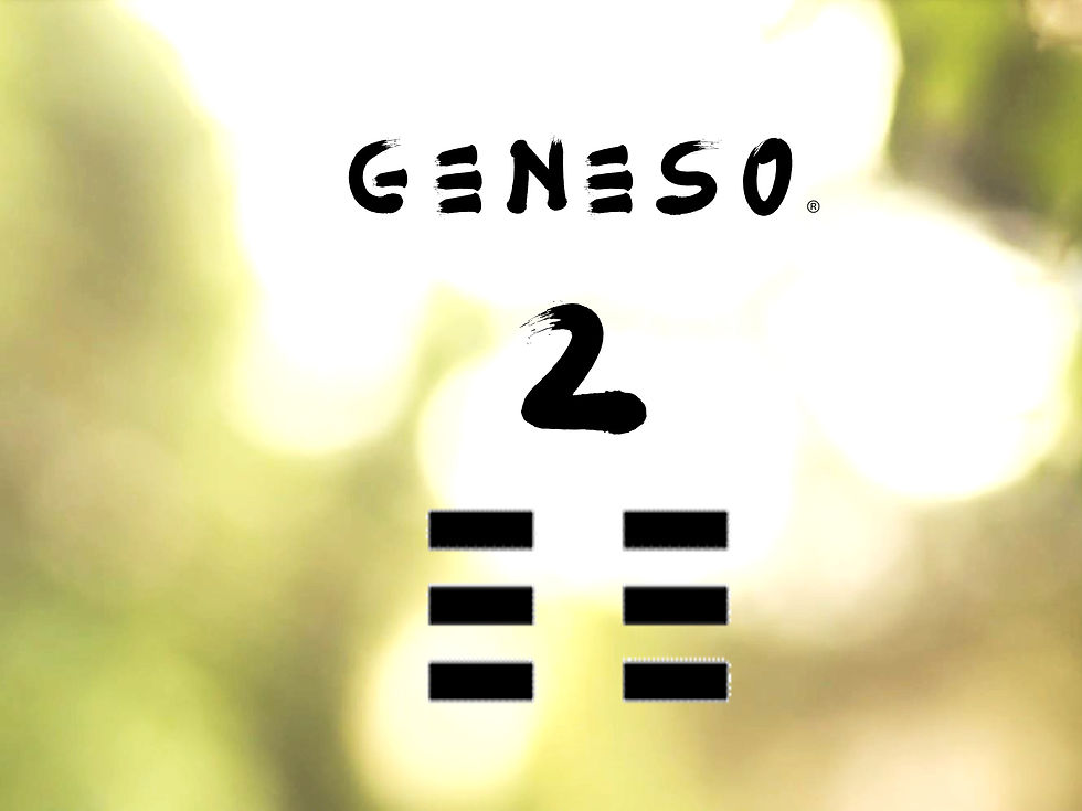 Thumbnail: GENESO®  ESSENTIAL - GUA 2 YIN