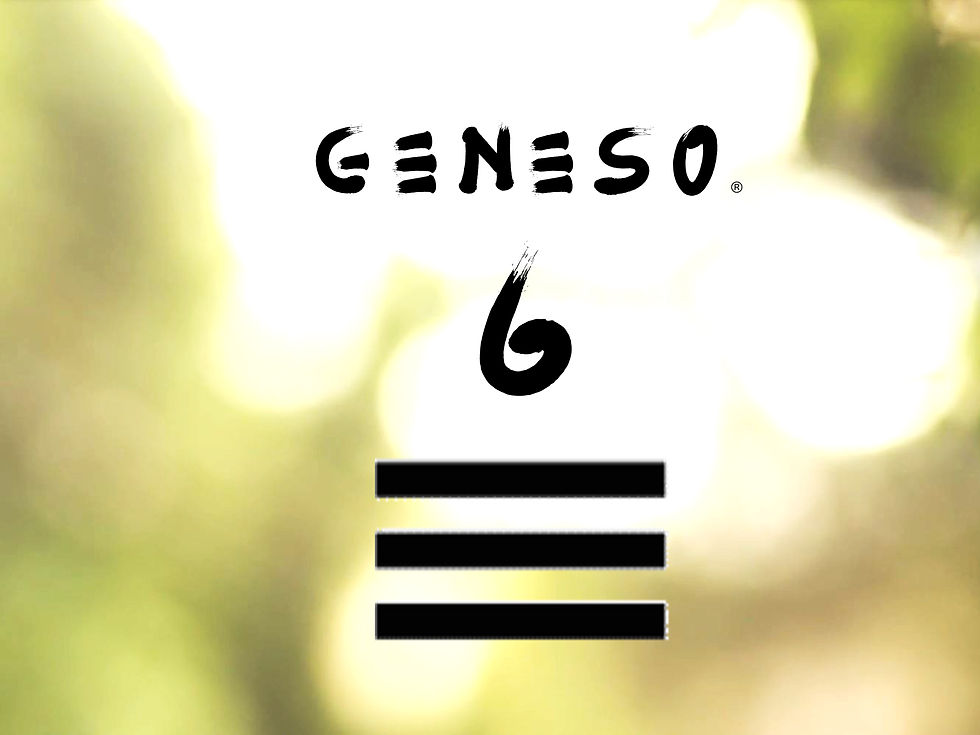Thumbnail: GENESO®  ESSENTIAL - GUA 6 YANG