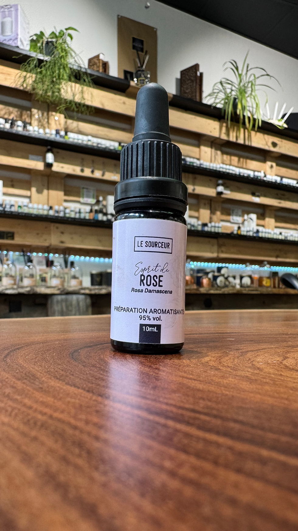 Miniature : ROSE  DE  DAMAS