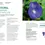 Miniature : Pouvoirs & Sagesse des Plantes