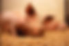 pigs-387204_1280.jpg