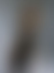 Unveiled Flesh, Unspoken Form