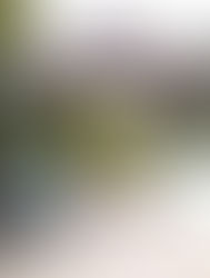 Boljoon as a Community