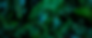 Dwyer Philanthropy header photo