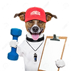 20403328-personal-trainer-dog-with-blue-