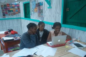 Embroidery teaches business skills, madagascar