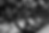 Screenshot 2024-03-08 at 12.49.14 pm.png