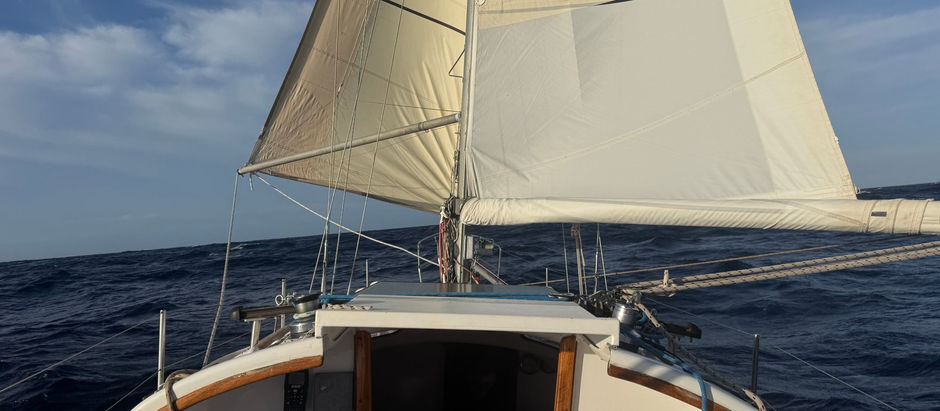 Albany to Tasmania - Day 5
Settling Into Life at Sea