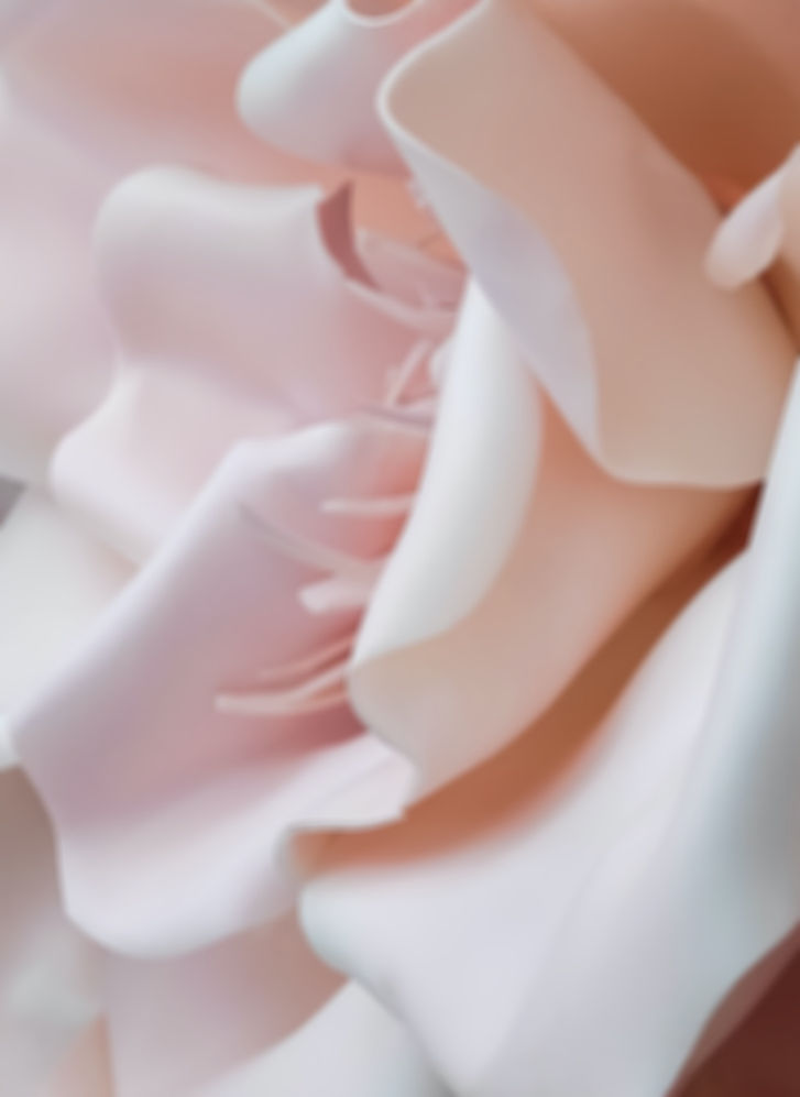 3D%20Pink%20Flower%20_edited.jpg
