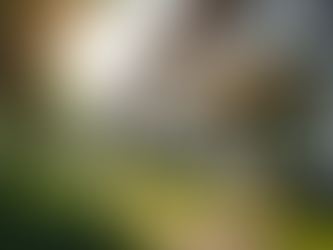 Mastering Reliable Property Maintenance Services