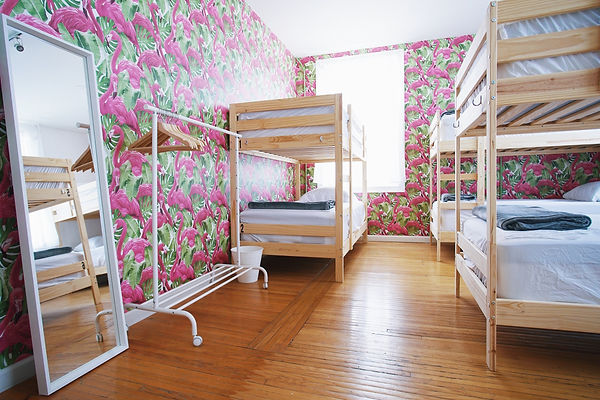 Flamingo Room