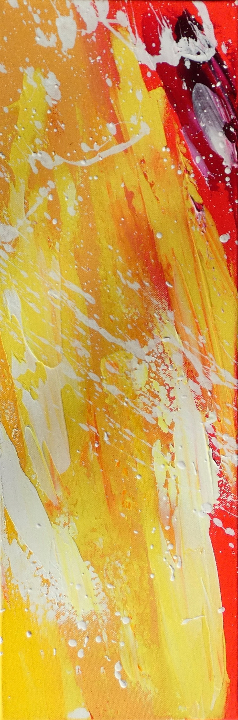 Thumbnail: EXPLOSION COULEURS