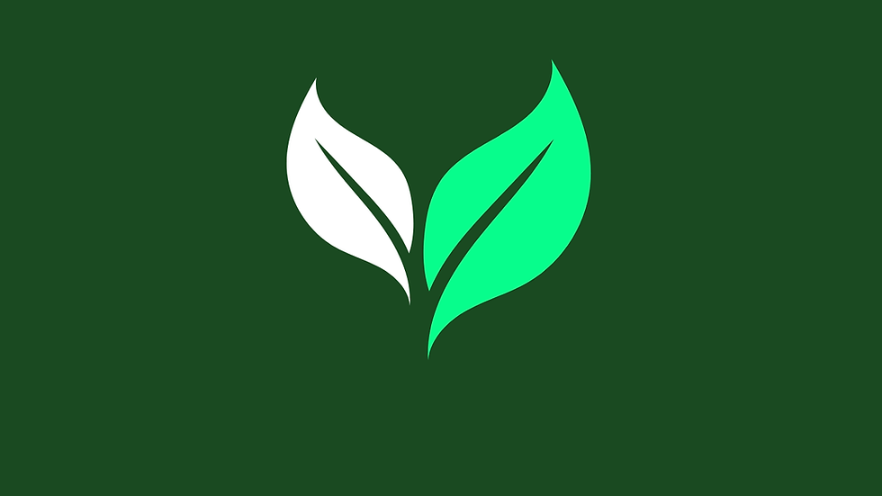 Leaf Space Logo
