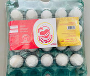 WhatsApp Image 2023-07-03 at 14.32.11.jpeg