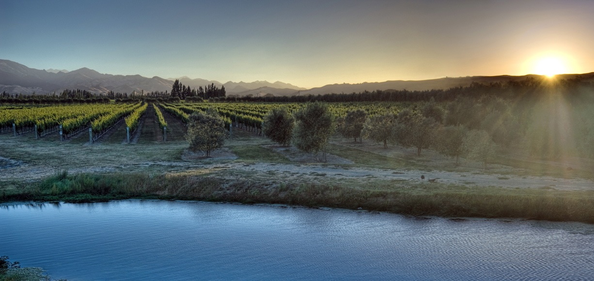 Omaka Springs Winery