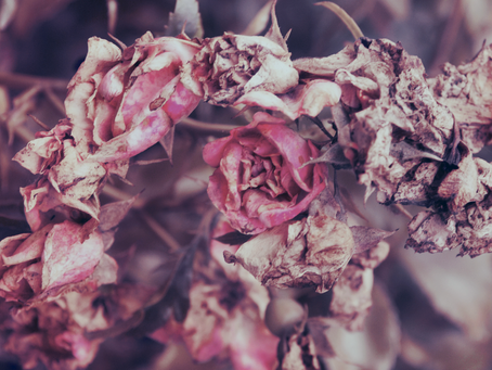 Coping with the Loss of Your Mother